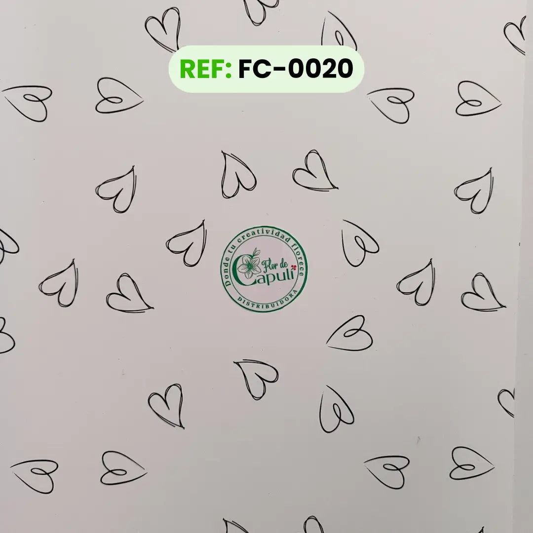 #FFFFFF